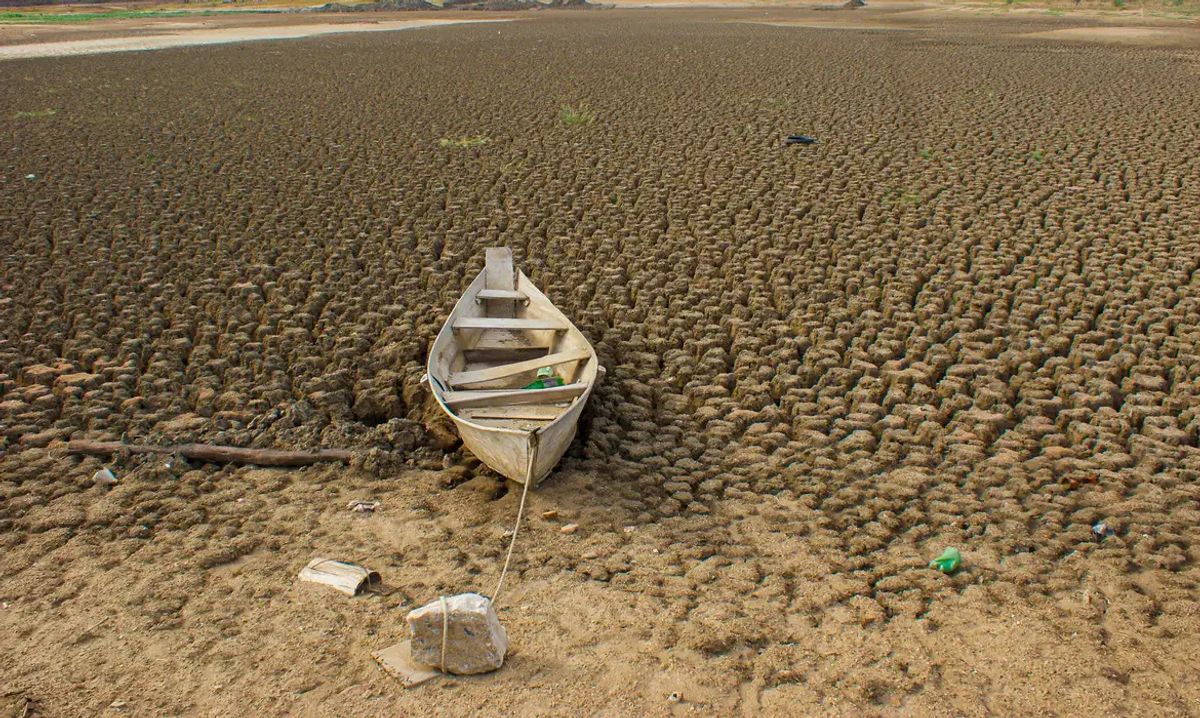 Brasil Estabelece Metas Ambiciosas para Restaurar Terras Degradadas até 2030