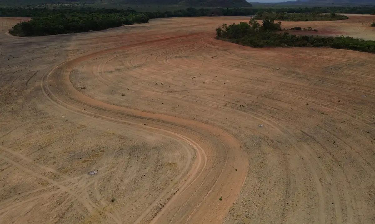 Decisão do STF sobre Moratória da Soja gera críticas de ambientalistas