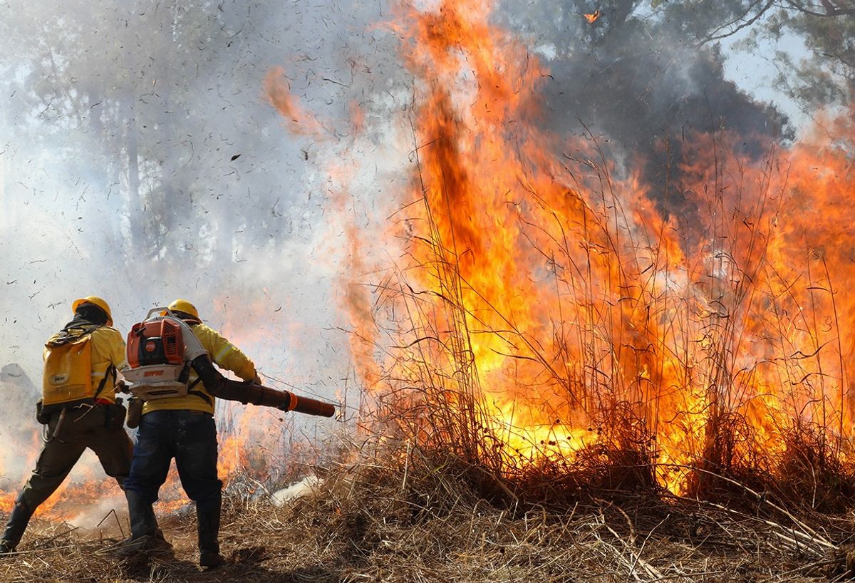 Distrito Federal Enfrenta 38 Focos de Incêndio em Vegetação em um Único Sábado