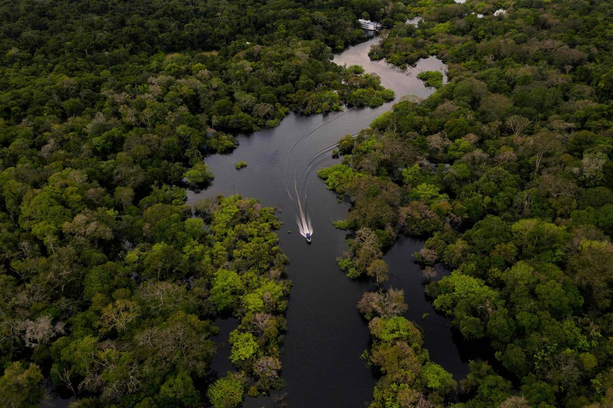 Fundo Brasil amplia apoio a povos tradicionais com justiça climática