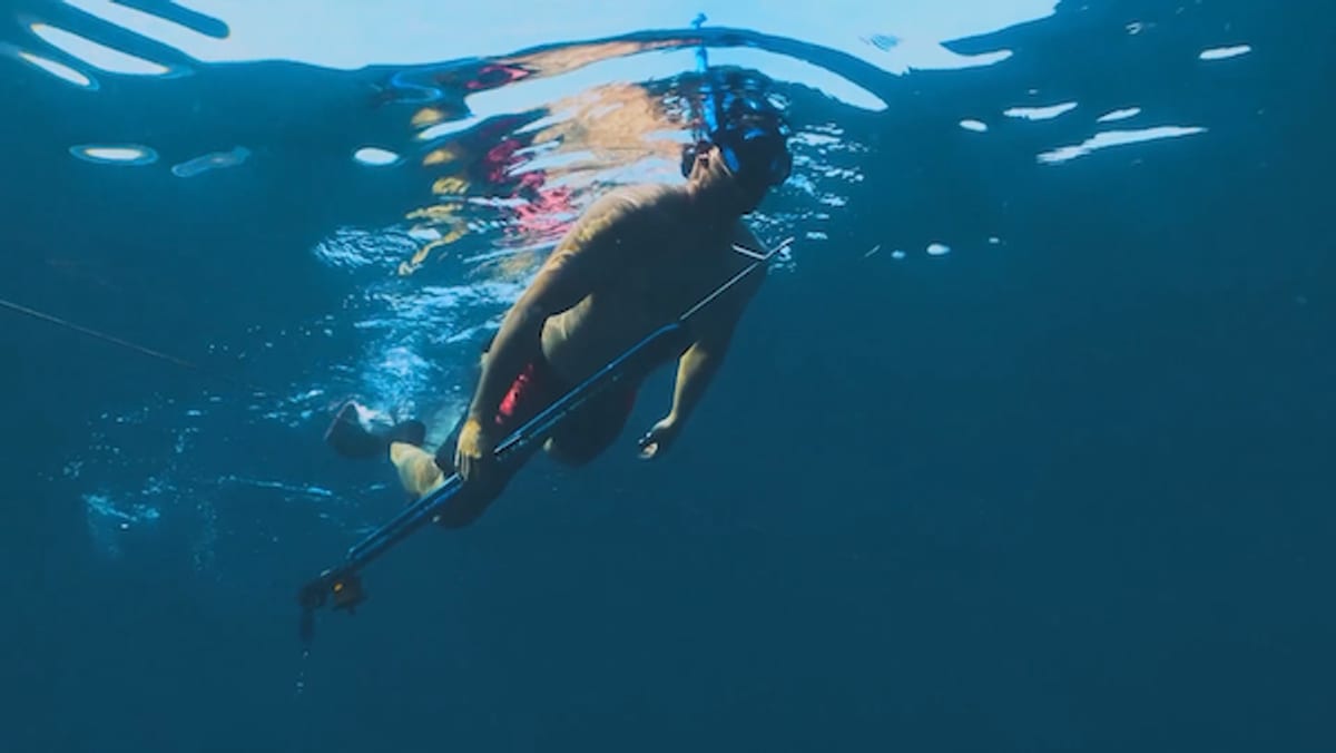 Sabor & Arte em Ilhabela: Documentário 'Sabores da Sobrevivência' Destaca Cultura Caiçara em 2026