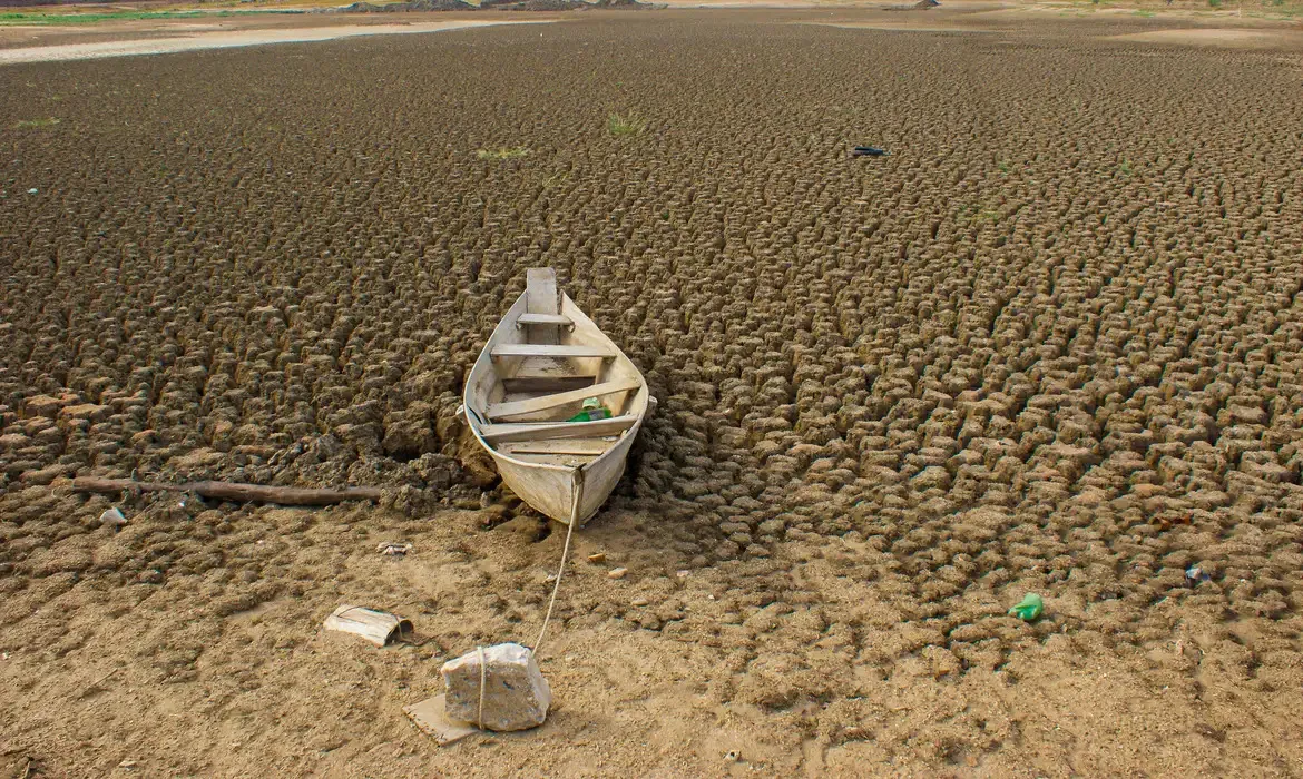 Brasil Estabelece Metas Ambiciosas para Restaurar Terras Degradadas até 2030